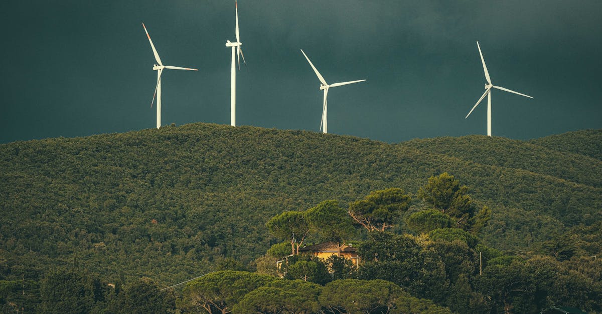 d&eacute;couvrez nos initiatives et conseils pour adopter des pratiques durables et respectueuses de l'environnement afin de pr&eacute;server la plan&egrave;te pour les g&eacute;n&eacute;rations futures.