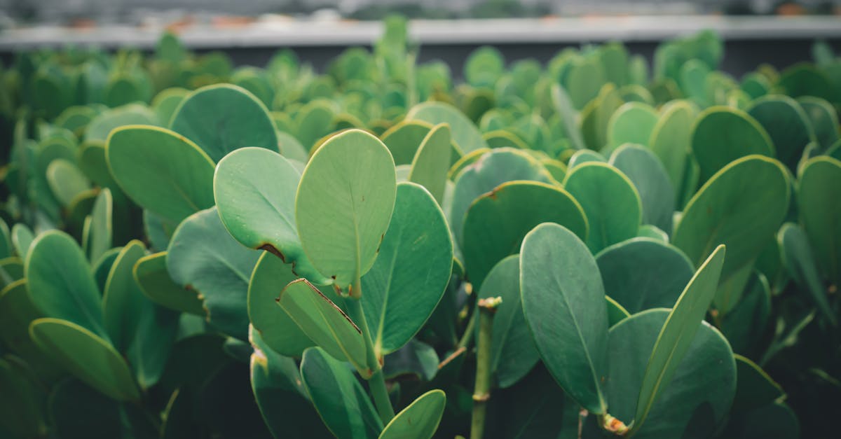 d&eacute;couvrez nos initiatives et conseils pour promouvoir la durabilit&eacute; et prot&eacute;ger l'environnement dans toutes les sph&egrave;res de la vie.