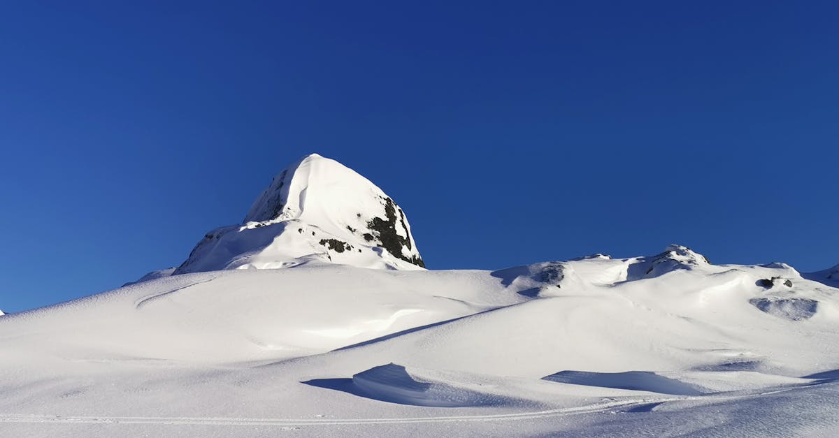 rejoignez le sommet africain sur le climat pour discuter des solutions durables, des politiques environnementales et des actions concert&eacute;es afin de prot&eacute;ger le climat en afrique.