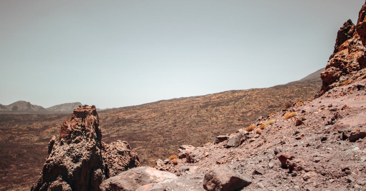 sommet africain sur le climat : rejoignez les leaders et experts pour discuter des solutions durables face aux d&eacute;fis climatiques en afrique.