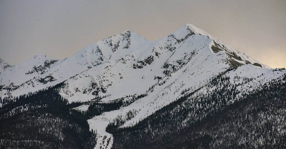 sommet africain sur le climat : r&eacute;unir les leaders et experts du continent pour discuter des d&eacute;fis environnementaux et des solutions durables en afrique.
