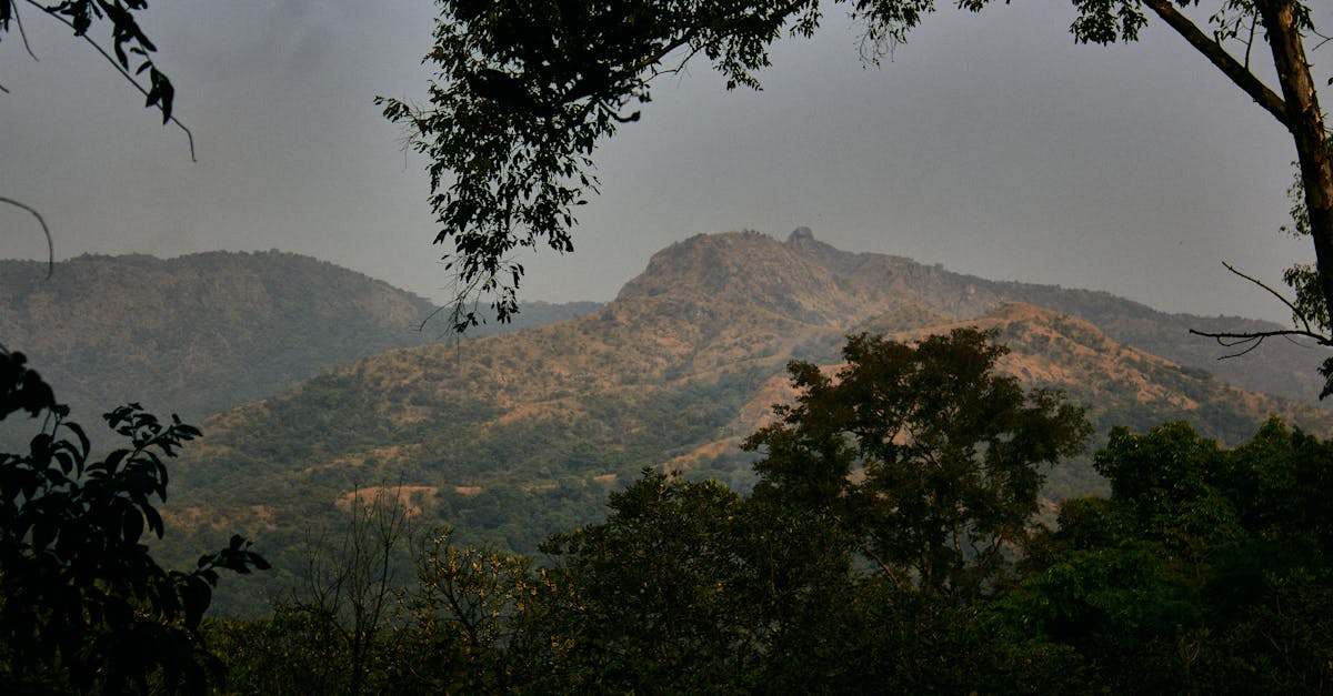 sommet africain sur le climat : un &eacute;v&eacute;nement cl&eacute; r&eacute;unissant les leaders africains pour discuter des actions et solutions face au changement climatique, promouvoir le d&eacute;veloppement durable et prot&eacute;ger l'environnement du continent.