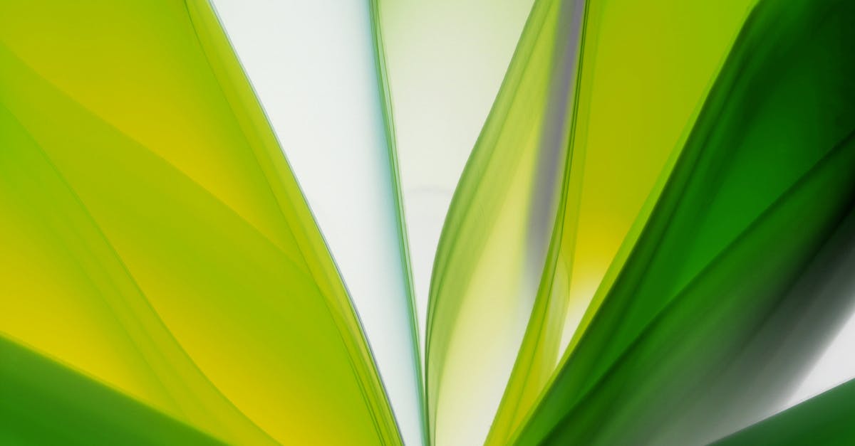 découvrez le biogaz, une source d'énergie renouvelable produite à partir de matières organiques, offrant une alternative écologique aux énergies fossiles.