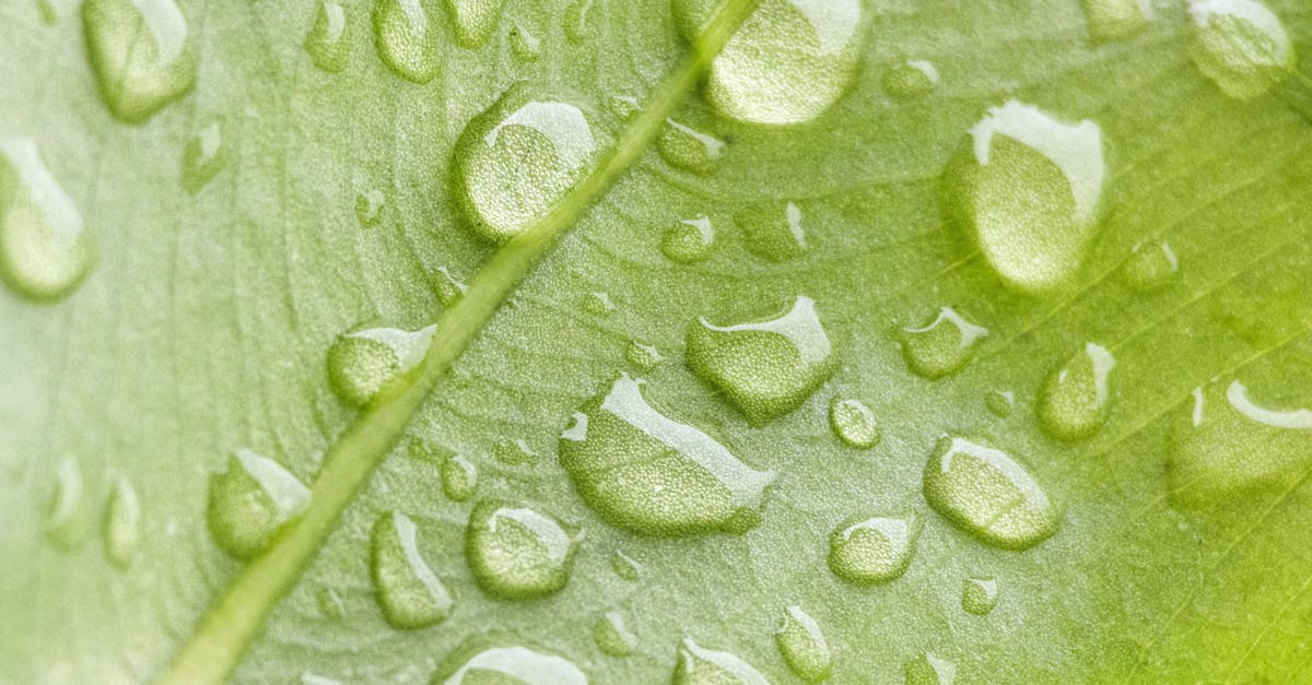 découvrez le biogaz, une source d'énergie renouvelable produite à partir de matières organiques. apprenez ses avantages, son fonctionnement et son impact positif sur l'environnement.