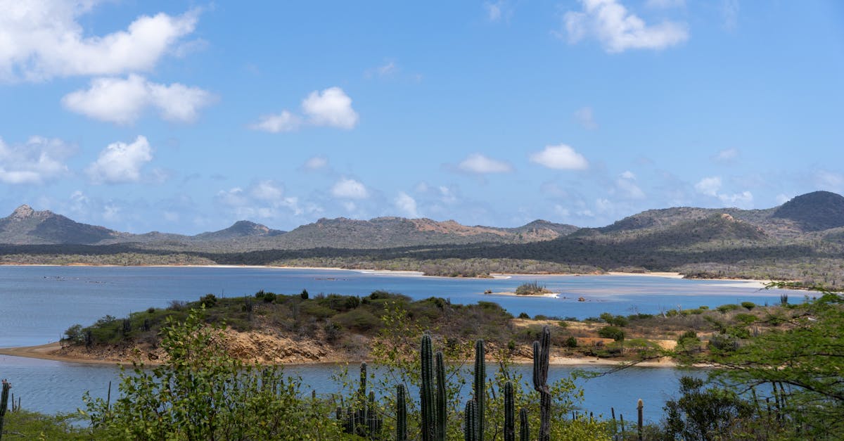 d&eacute;couvrez tout ce que vous devez savoir sur les r&eacute;sidents de bonaire : mode de vie, culture locale, conseils pratiques et actualit&eacute;s pour vivre pleinement sur cette &icirc;le des cara&iuml;bes.