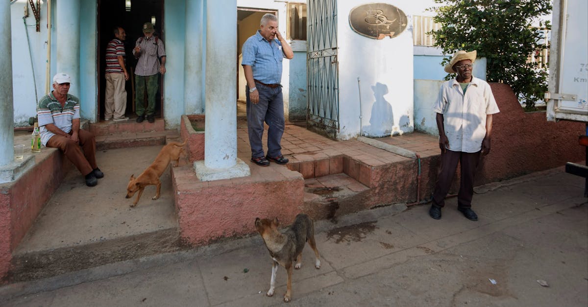 informations et ressources pour les r&eacute;sidents de bonaire, couvrant la vie locale, les services et la communaut&eacute;.