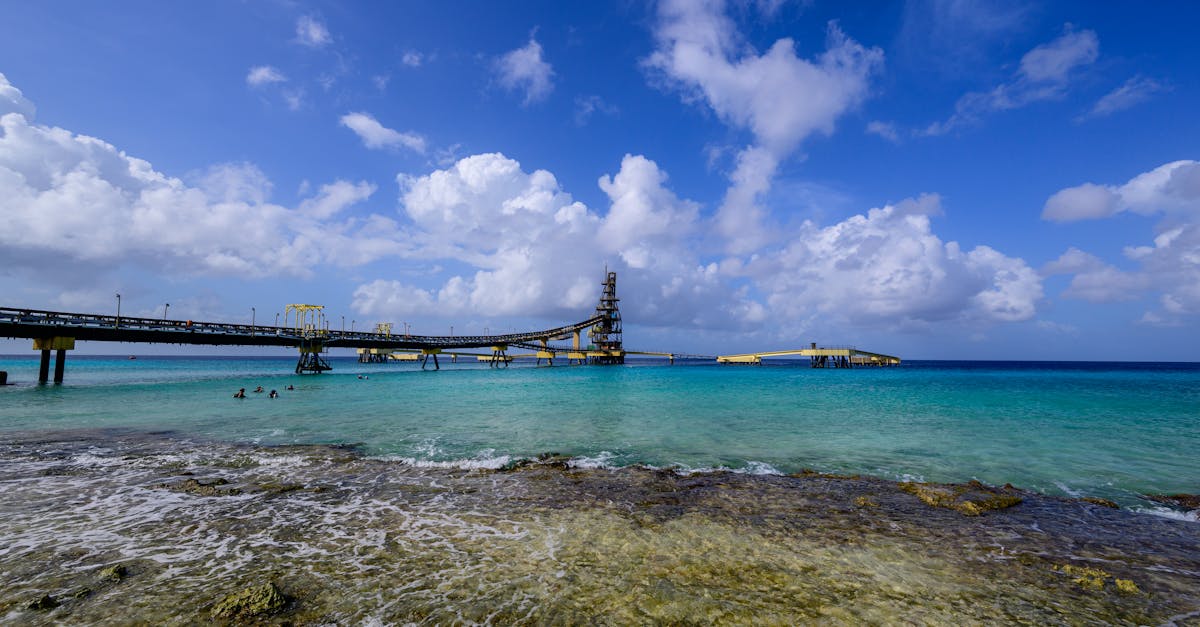 Ces habitants de Bonaire, gardiens de leur &icirc;le face au d&eacute;fi du changement climatique