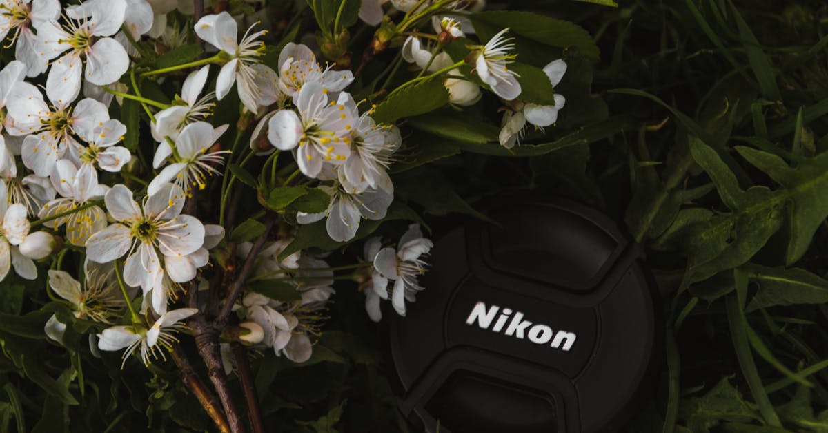 découvrez notre collection de casquettes tendance, alliant style et confort pour toutes vos occasions.