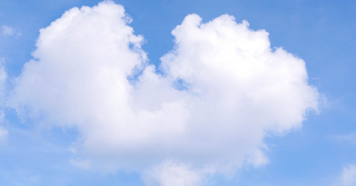 d&eacute;couvrez les enjeux et solutions du changement climatique, son impact sur notre plan&egrave;te et comment agir pour un avenir durable.