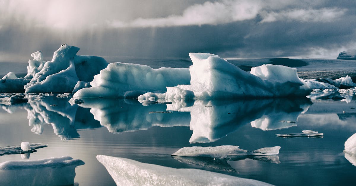 d&eacute;couvrez les causes, les impacts et les solutions pour lutter contre le changement climatique et prot&eacute;ger notre plan&egrave;te pour les g&eacute;n&eacute;rations futures.