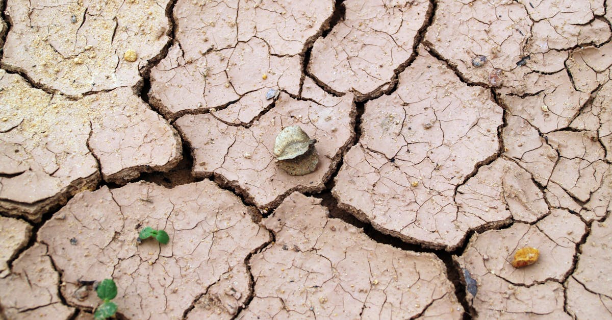 d&eacute;couvrez les causes, impacts et solutions du changement climatique pour un avenir durable et respectueux de notre plan&egrave;te.