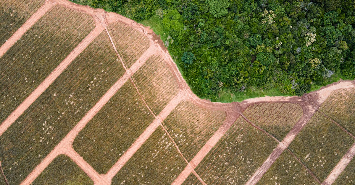 d&eacute;couvrez climate trial, une initiative innovante d&eacute;di&eacute;e &agrave; l'&eacute;tude et &agrave; la lutte contre le changement climatique gr&acirc;ce &agrave; des essais scientifiques rigoureux et des solutions durables.