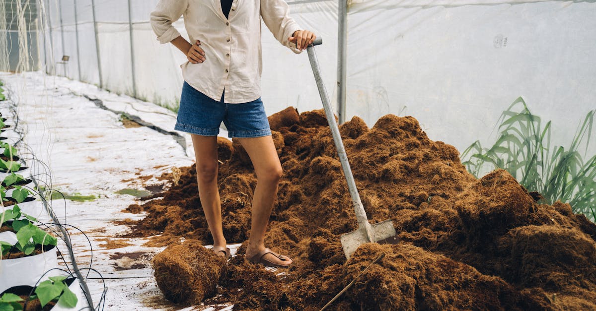 d&eacute;couvrez tout ce qu'il faut savoir sur le compostage : m&eacute;thodes, astuces et b&eacute;n&eacute;fices pour transformer vos d&eacute;chets organiques en un terreau riche et naturel.