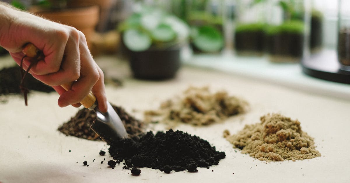 d&eacute;couvrez comment le compostage transforme vos d&eacute;chets organiques en un engrais naturel b&eacute;n&eacute;fique pour votre jardin, tout en r&eacute;duisant votre impact environnemental.