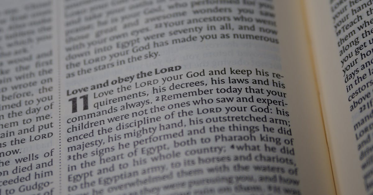 d&eacute;couvrez le dell xps 14, un ordinateur portable alliant performance, &eacute;l&eacute;gance et portabilit&eacute; pour r&eacute;pondre &agrave; tous vos besoins professionnels et personnels.