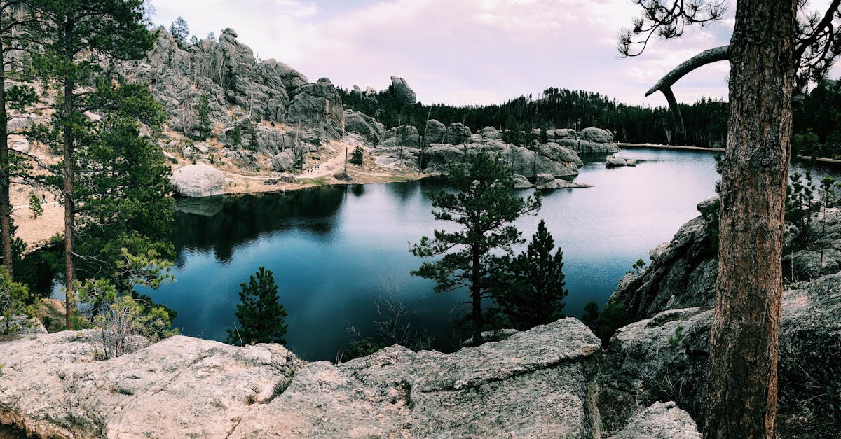 d&eacute;couvrez le dell xps 14, un ordinateur portable alliant performance, design &eacute;l&eacute;gant et autonomie pour r&eacute;pondre &agrave; tous vos besoins professionnels et personnels.