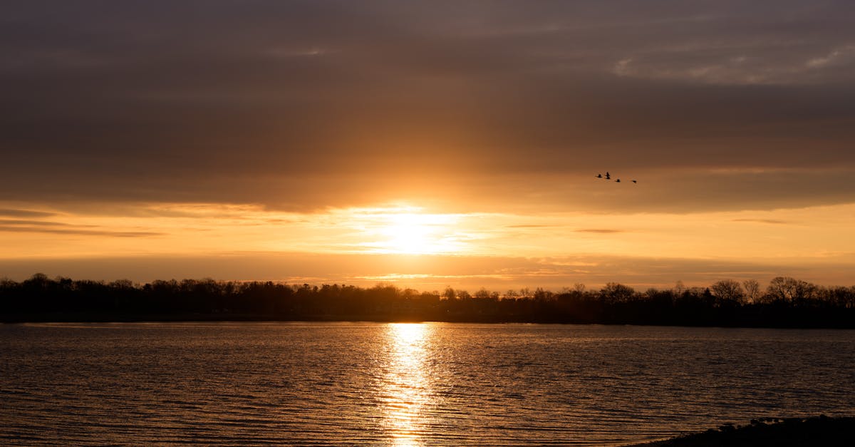 découvrez tout sur la canicule précoce : causes, impacts et conseils pour bien la supporter.