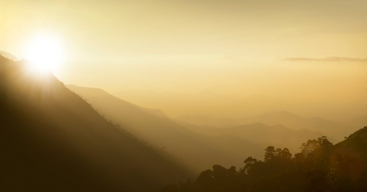 découvrez les impacts d'une vague de chaleur précoce et préparez-vous à affronter des températures exceptionnellement élevées avant la saison estivale.