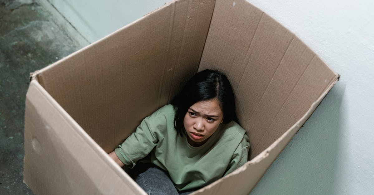 &Eacute;coanxi&eacute;t&eacute; et g&eacute;n&eacute;ration Z : comprendre leur vision face &agrave; l&rsquo;urgence climatique