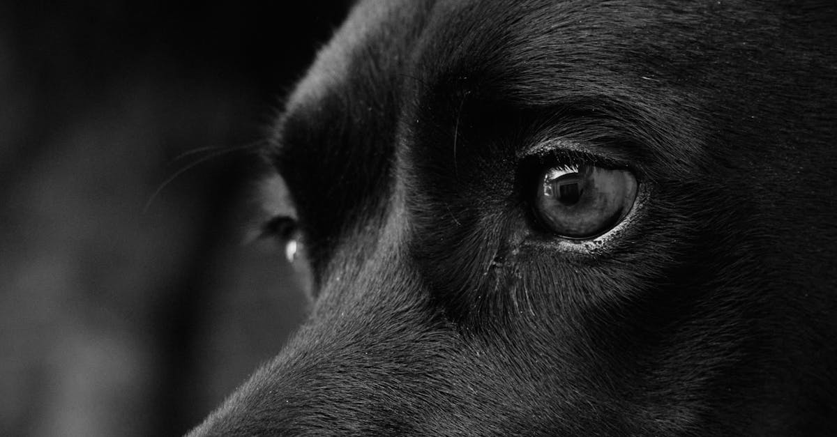 découvrez eco-loyalty, le programme de fidélité écoresponsable qui récompense vos achats durables et favorise un mode de vie respectueux de l'environnement.