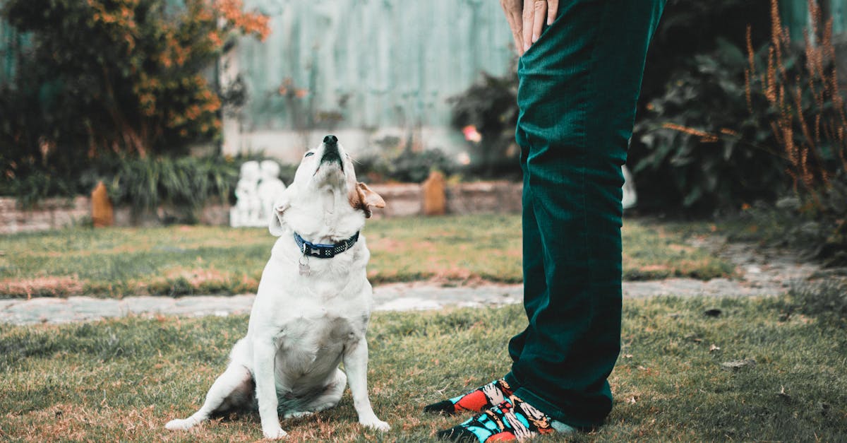découvrez eco-loyalty, le programme de fidélité éco-responsable qui récompense vos achats durables et vous engage pour la planète.