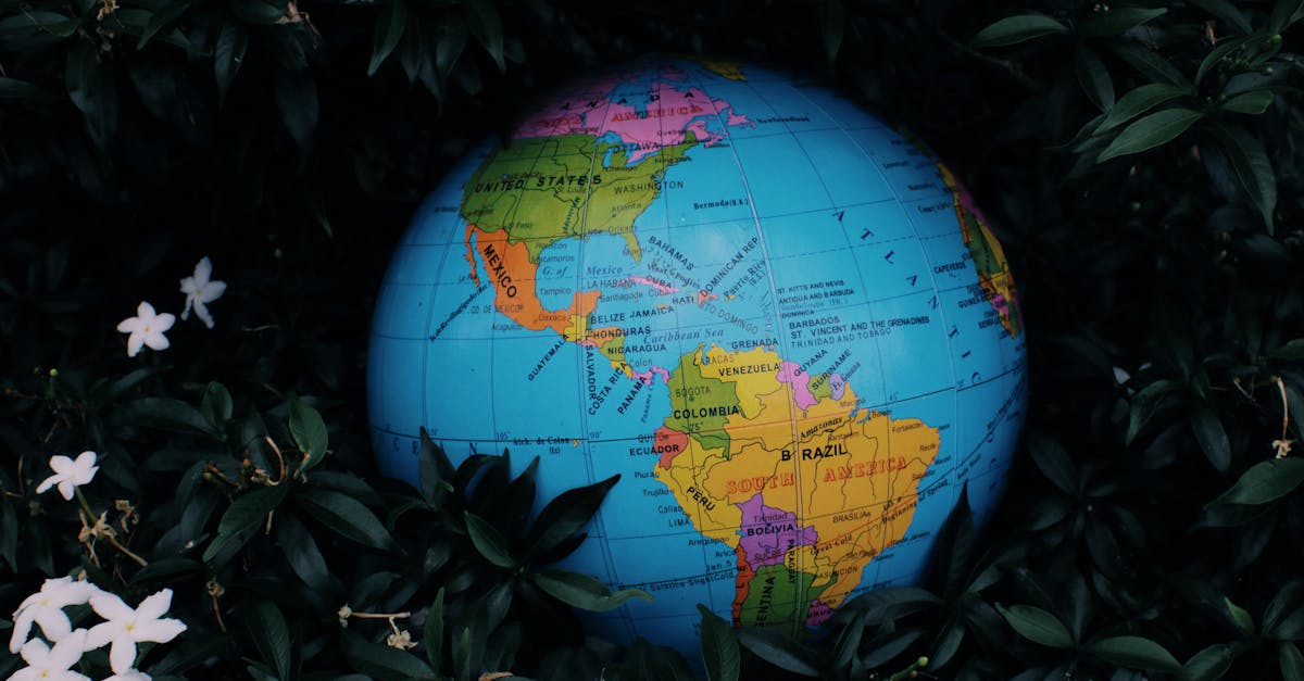 d&eacute;couvrez l'&eacute;cologie : &eacute;tude des interactions entre les &ecirc;tres vivants et leur environnement pour pr&eacute;server la biodiversit&eacute; et promouvoir un d&eacute;veloppement durable.