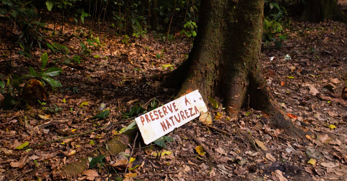 d&eacute;couvrez tout sur l'&eacute;cologie : protection de l'environnement, biodiversit&eacute;, d&eacute;veloppement durable et actions pour un avenir plus vert.