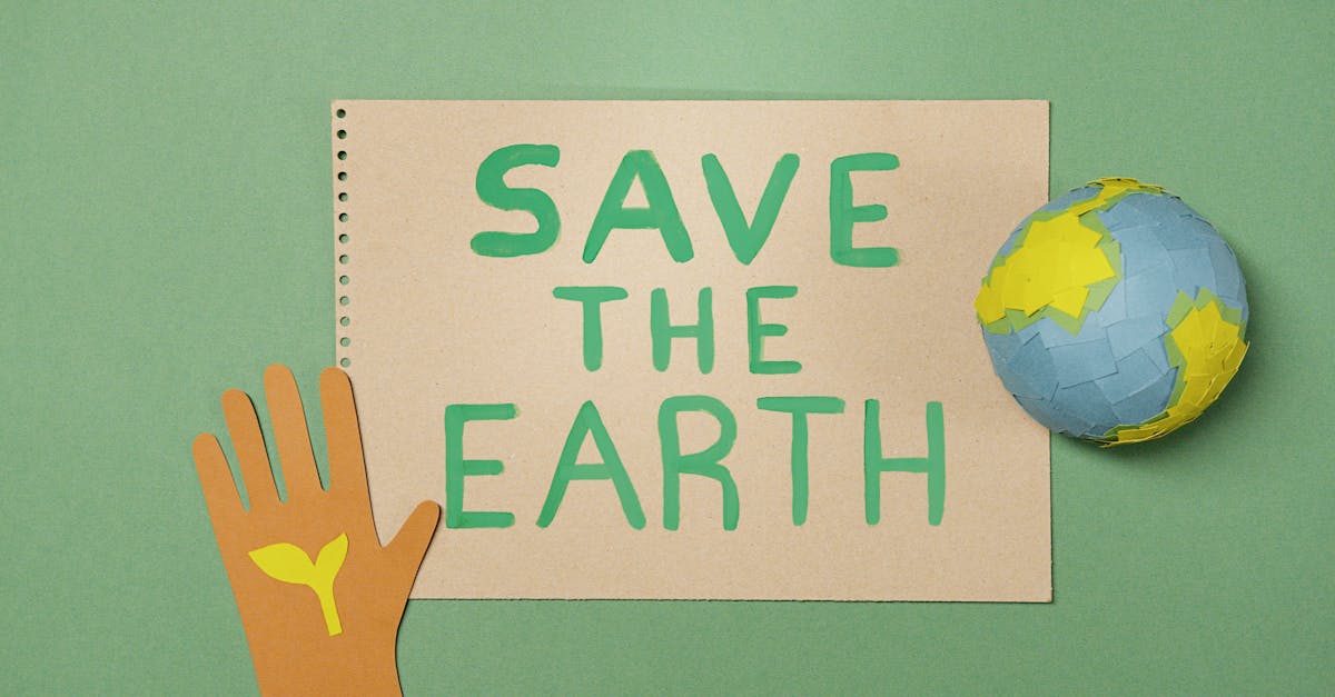 d&eacute;couvrez l'&eacute;cologie : l'&eacute;tude des interactions entre les &ecirc;tres vivants et leur environnement pour pr&eacute;server la plan&egrave;te et promouvoir un d&eacute;veloppement durable.