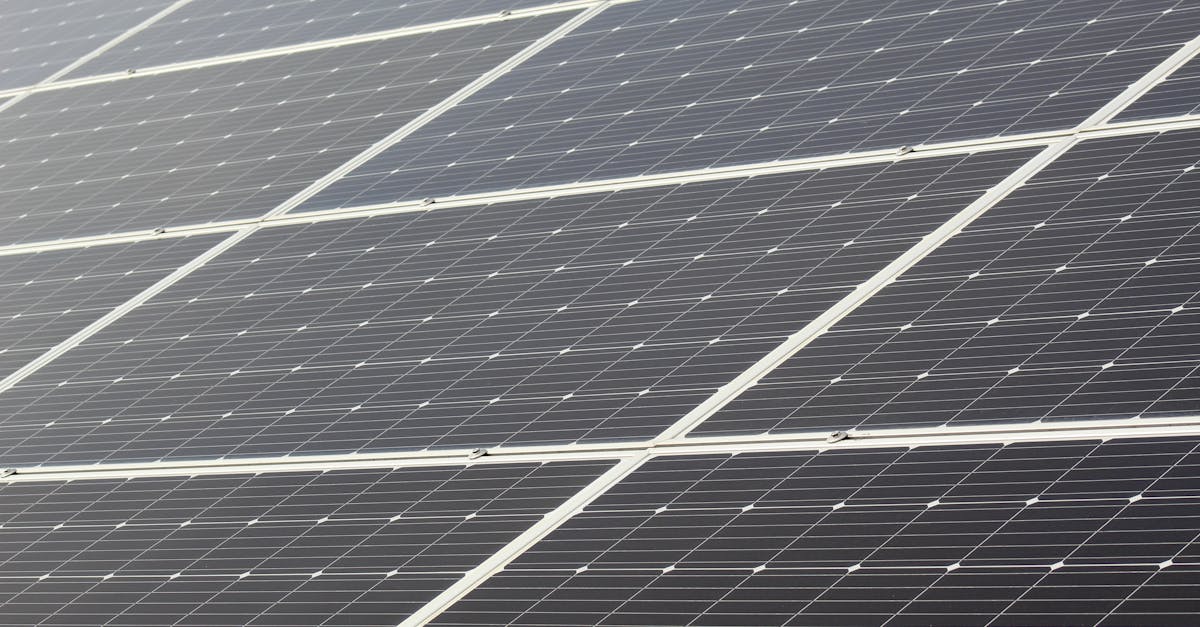 découvrez les dernières avancées environnementales et leurs impacts positifs sur la planète. innovations, solutions durables et actions écologiques pour un avenir meilleur.