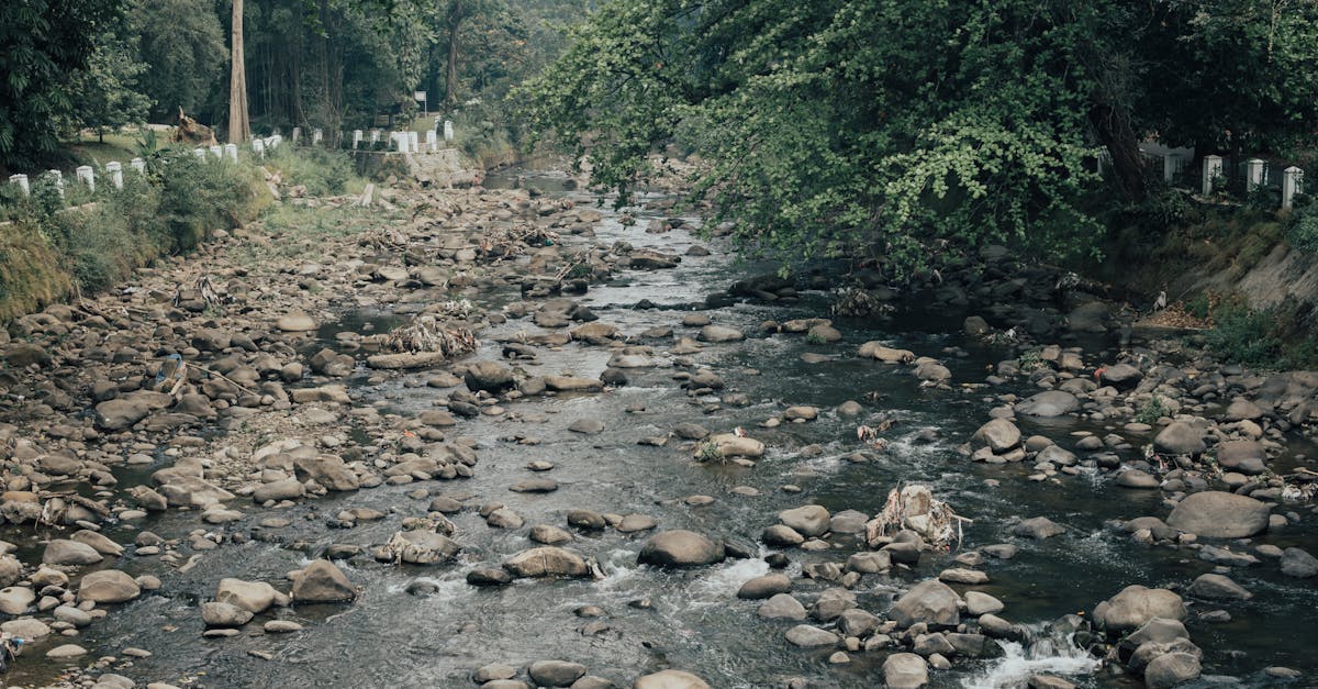 découvrez les avancées environnementales récentes et leurs impacts positifs sur la planète. innovations, pratiques durables et solutions écologiques expliquées en détail.