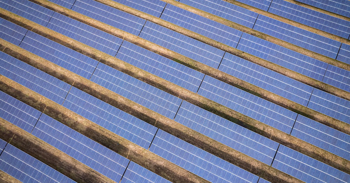 découvrez les avancées environnementales récentes qui transforment notre manière de protéger la planète et de promouvoir un développement durable.