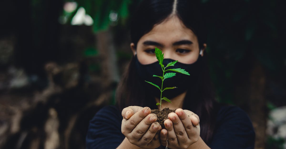d&eacute;couvrez les enjeux et les bonnes pratiques li&eacute;es &agrave; l'esg (environnement, social, gouvernance) pour une entreprise responsable et durable.