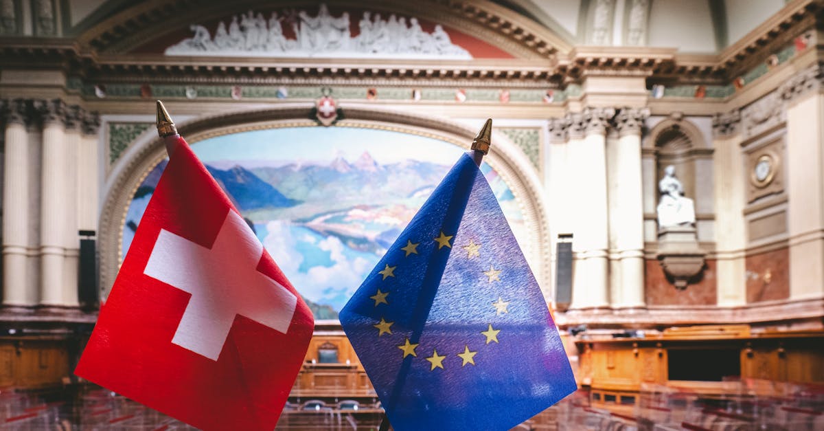 d&eacute;couvrez la r&eacute;glementation europ&eacute;enne sur les labels v&eacute;g&eacute;tariens, garantissant une identification claire et fiable des produits adapt&eacute;s aux consommateurs v&eacute;g&eacute;tariens.