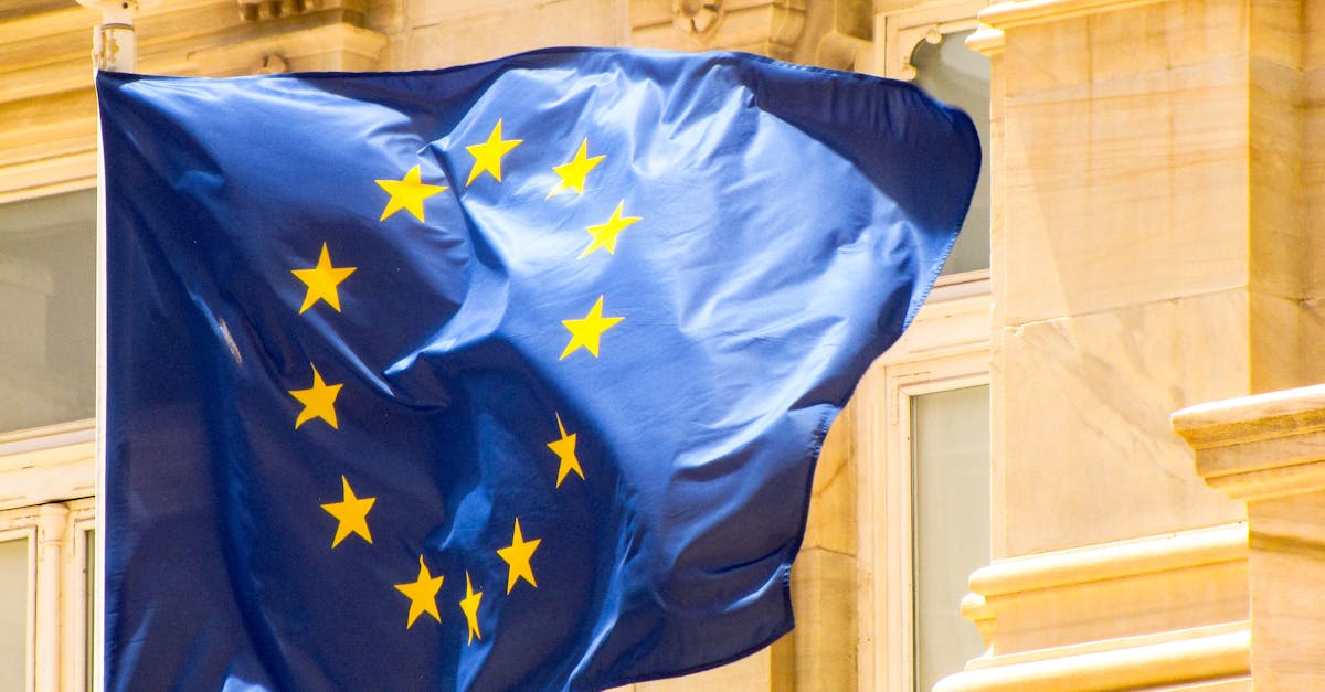 d&eacute;couvrez les r&eacute;glementations europ&eacute;ennes sur les labels v&eacute;g&eacute;tariens, garantissant authenticit&eacute; et transparence pour les consommateurs soucieux de leur alimentation.