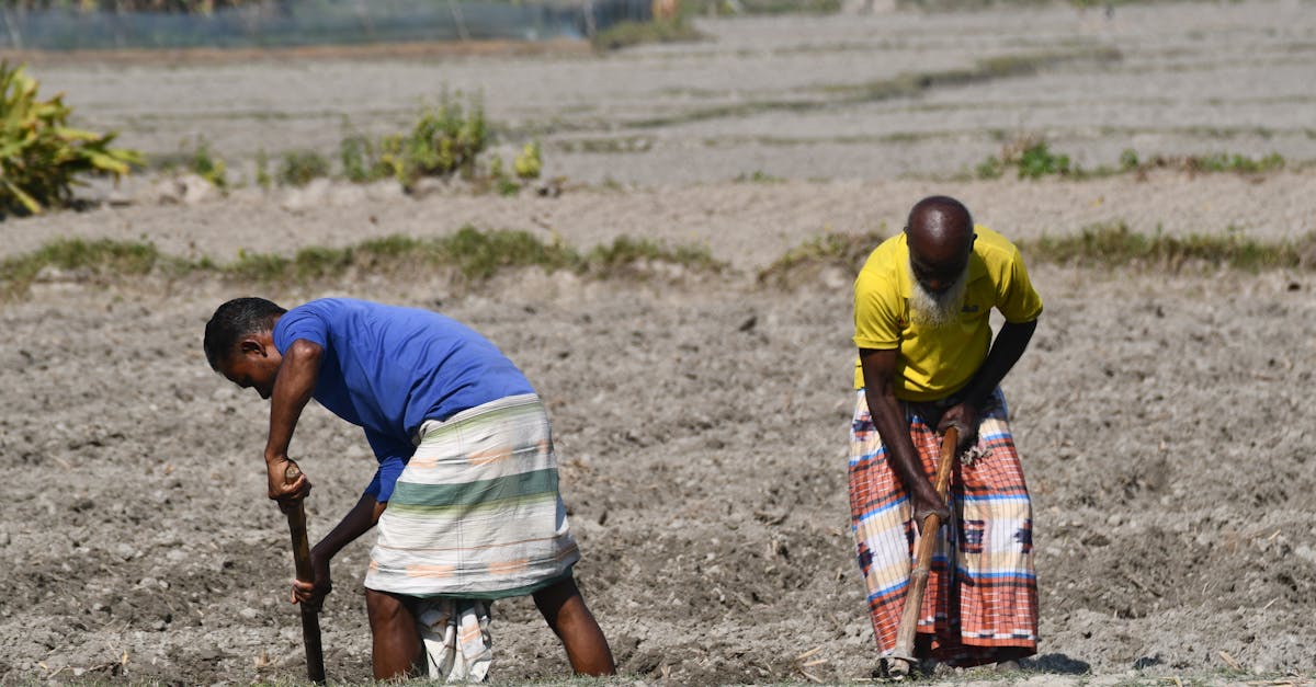 découvrez le litige entre european farmer et totalenergies, ses enjeux, impacts et les perspectives pour l'agriculture européenne.