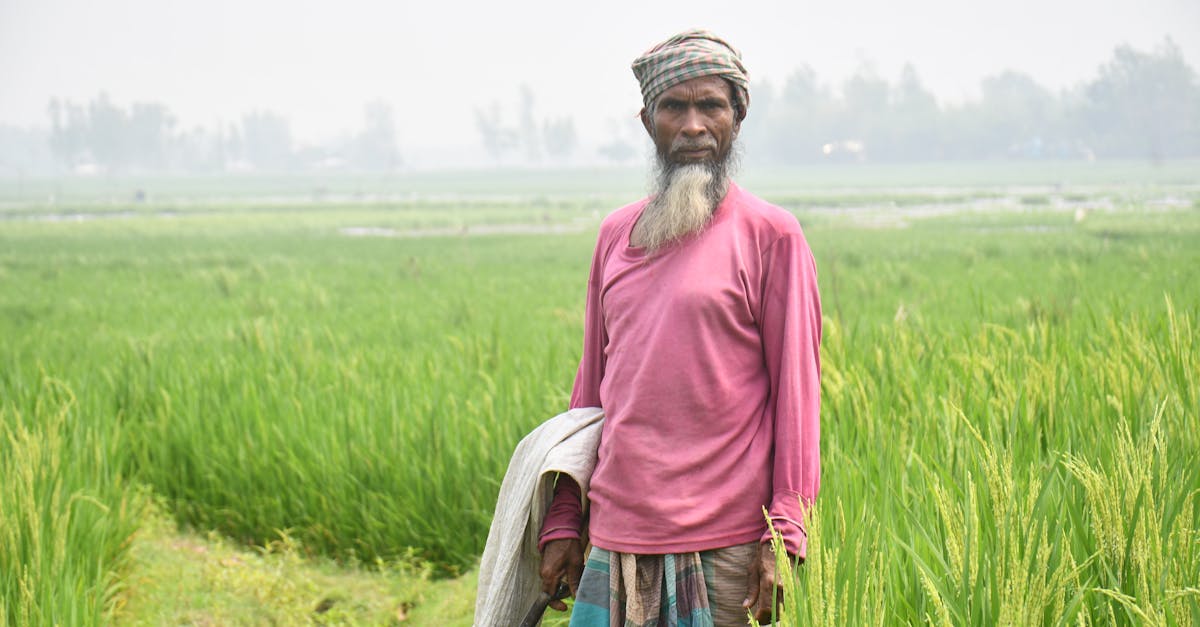 découvrez le conflit entre european farmer et totalenergies, analysant les enjeux agricoles et énergétiques au cœur de leur dispute.