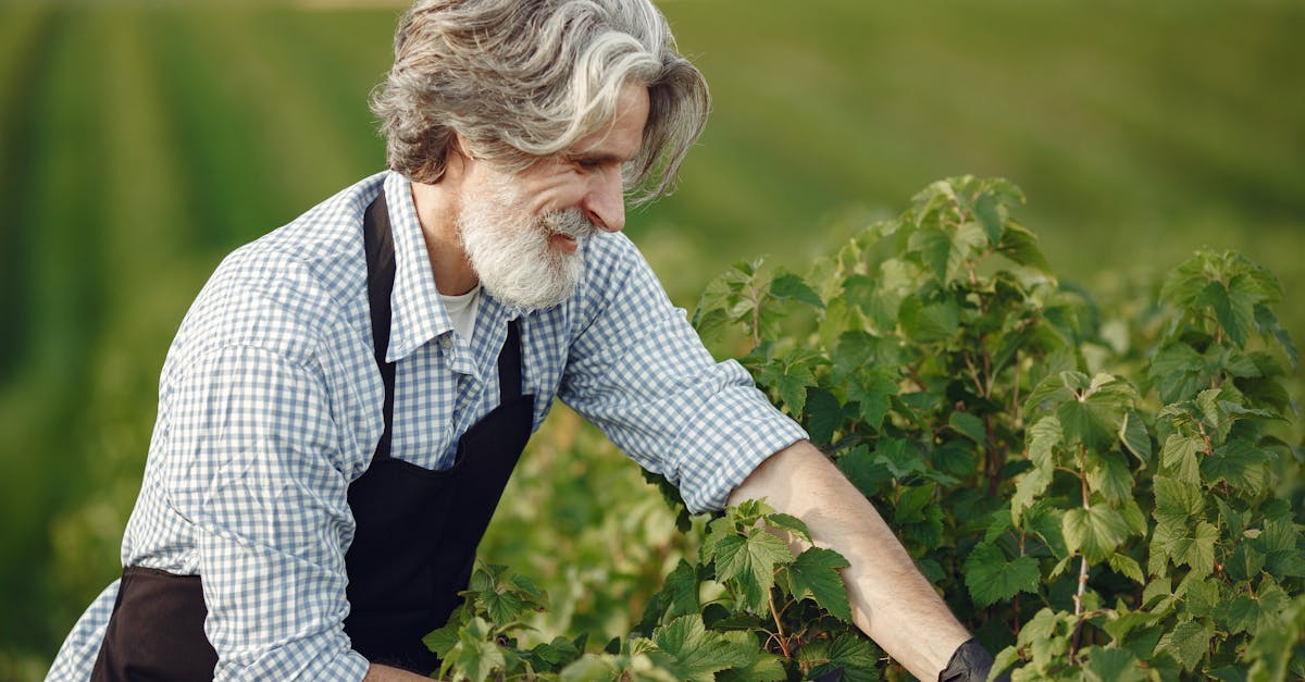 découvrez le différend entre les agriculteurs européens et totalenergies, ses enjeux et impacts sur le secteur agricole en europe.