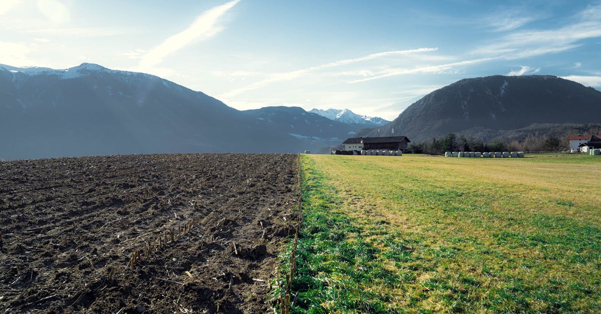 analyse de la d&eacute;pendance de l'europe aux engrais : enjeux, impacts et strat&eacute;gies pour assurer la s&eacute;curit&eacute; agricole durable.
