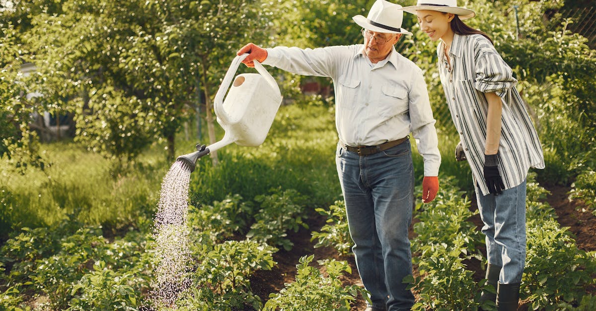 analyse de la d&eacute;pendance de l'europe aux engrais : enjeux, impacts et perspectives pour une agriculture durable.