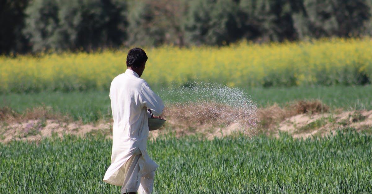 découvrez les causes et les conséquences de la crise des engrais, ainsi que ses impacts sur l'agriculture mondiale et la sécurité alimentaire.