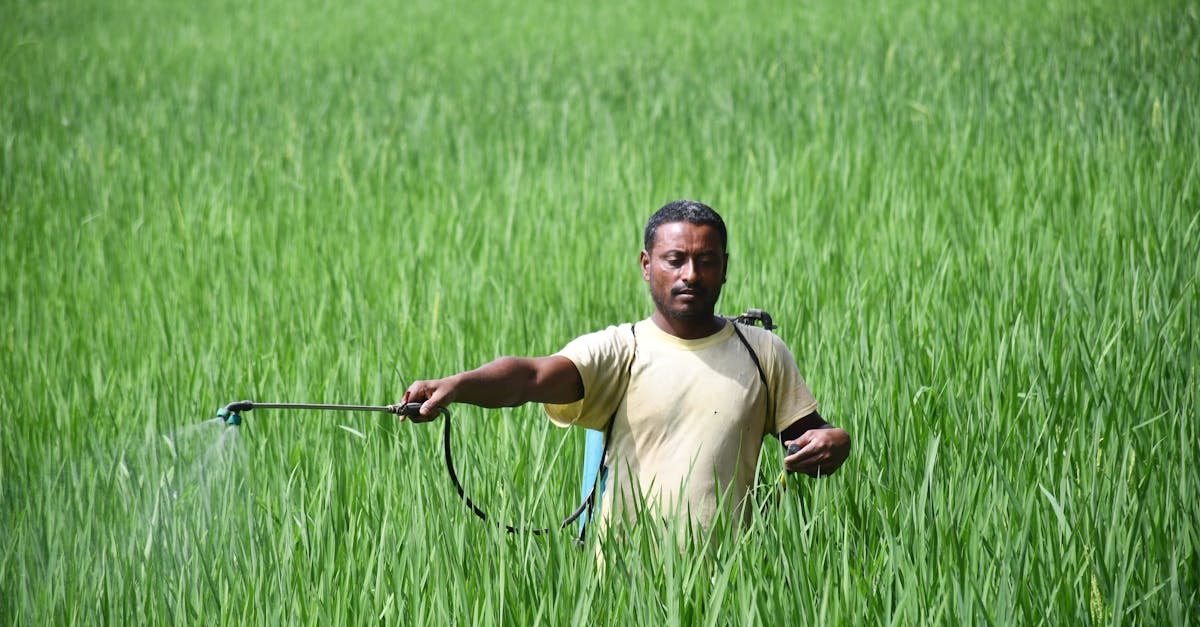 découvrez les causes et les conséquences de la crise des engrais, ses impacts sur l'agriculture mondiale et les solutions pour y faire face.