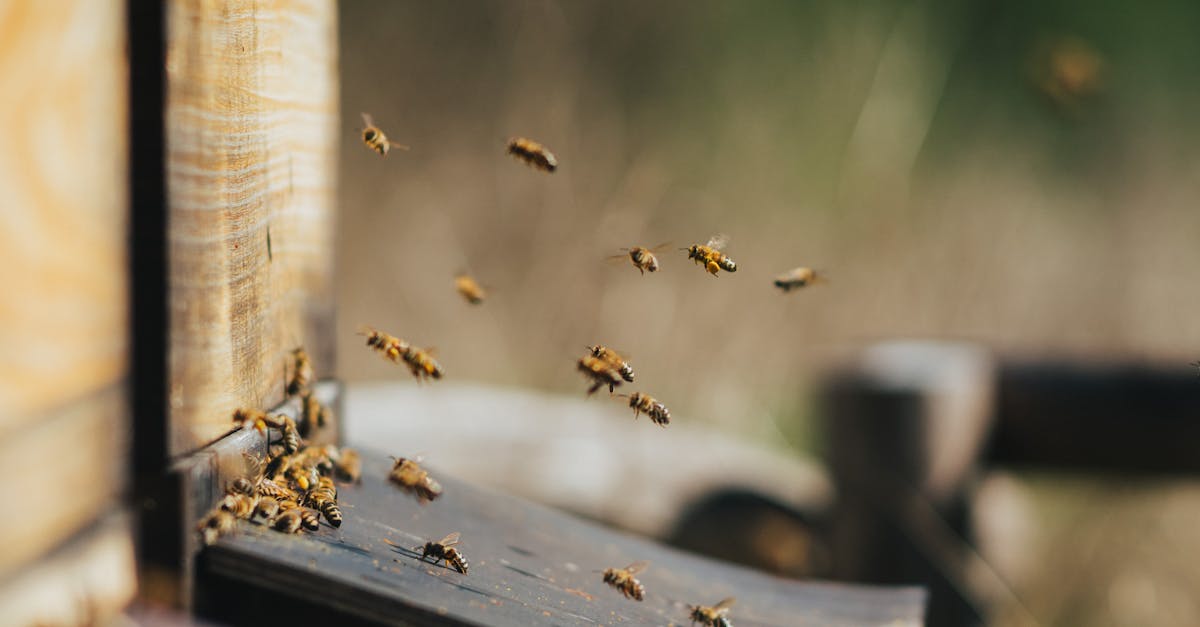 d&eacute;couvrez nos solutions de forage pour la production optimale de ressources naturelles, alliant technologie avanc&eacute;e et expertise technique pour maximiser vos rendements.