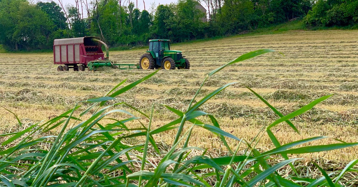 d&eacute;couvrez nos solutions de forage pour maximiser la production et optimiser vos ressources. expertise et performance au service de vos projets.