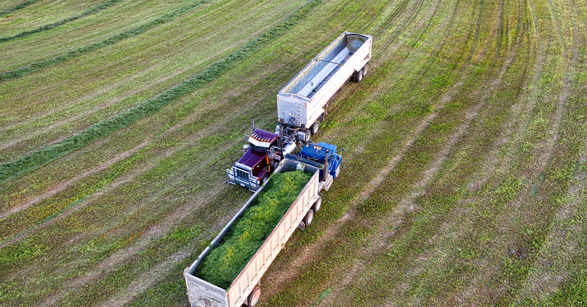 d&eacute;couvrez nos solutions professionnelles de forage et production pour optimiser vos projets industriels et &eacute;nerg&eacute;tiques avec efficacit&eacute; et s&eacute;curit&eacute;.