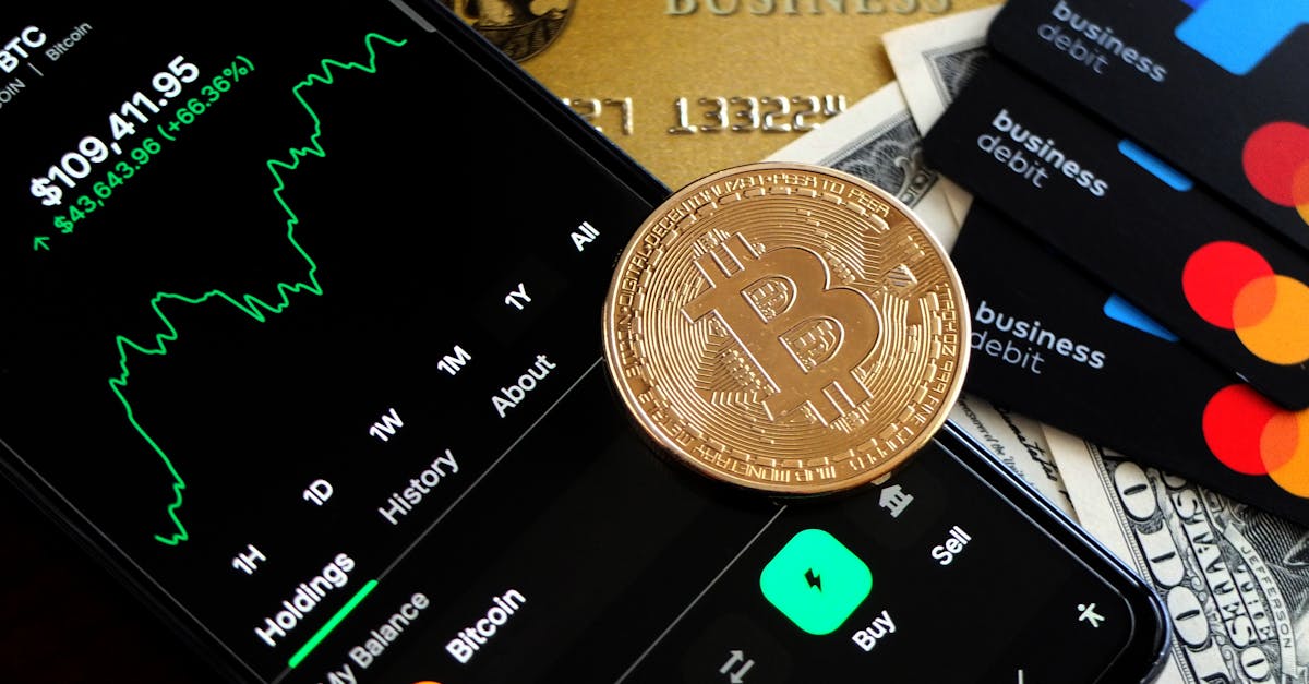 d&eacute;couvrez les principes et les enjeux de la finance verte, un secteur d&eacute;di&eacute; au financement des projets durables et respectueux de l&rsquo;environnement.