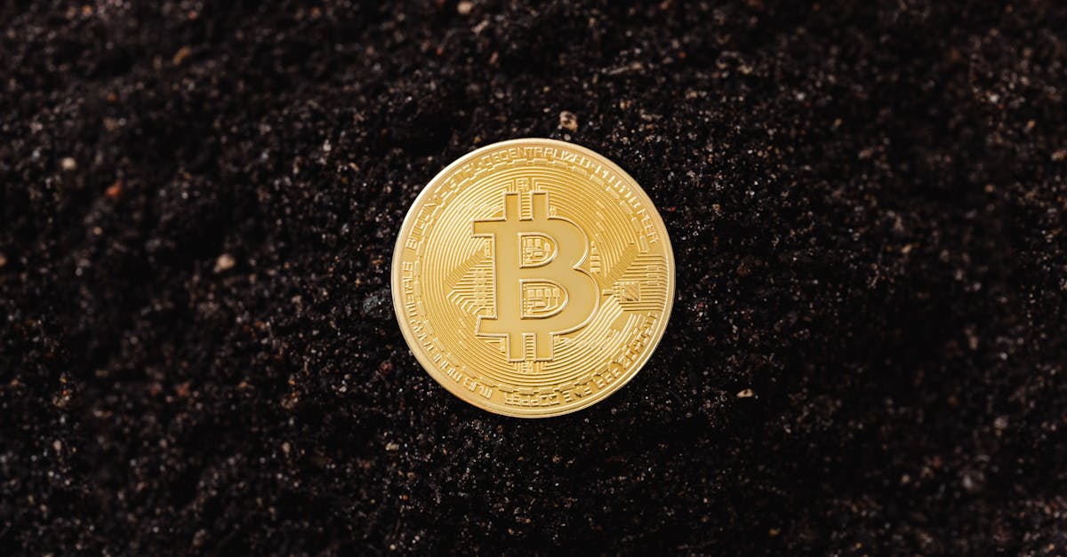 d&eacute;couvrez la finance verte : un secteur d&eacute;di&eacute; &agrave; l'investissement responsable, favorisant le d&eacute;veloppement durable et la transition &eacute;cologique.