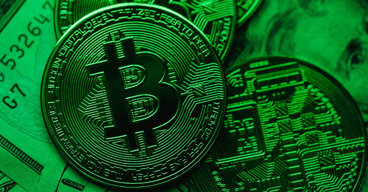 Climat : Abidjan s&rsquo;impose comme le c&oelig;ur vibrant de la finance verte africaine