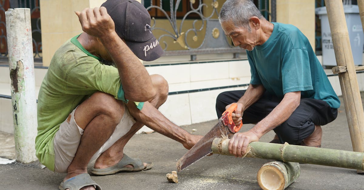 d&eacute;couvrez les green skills, comp&eacute;tences essentielles pour contribuer &agrave; un d&eacute;veloppement durable et &agrave; la transition &eacute;cologique dans tous les secteurs professionnels.