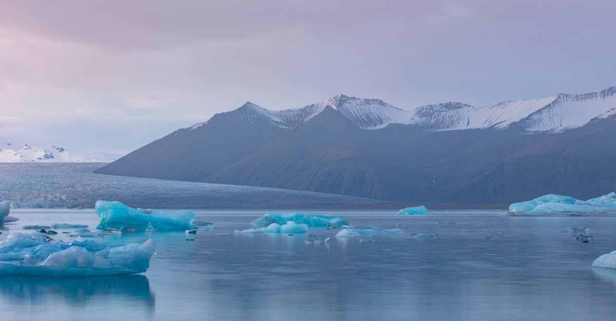 d&eacute;couvrez l'aventure ultime avec notre exp&eacute;dition au groenland : paysages sauvages, glaciers majestueux et une exp&eacute;rience inoubliable au c&oelig;ur de l'arctique.