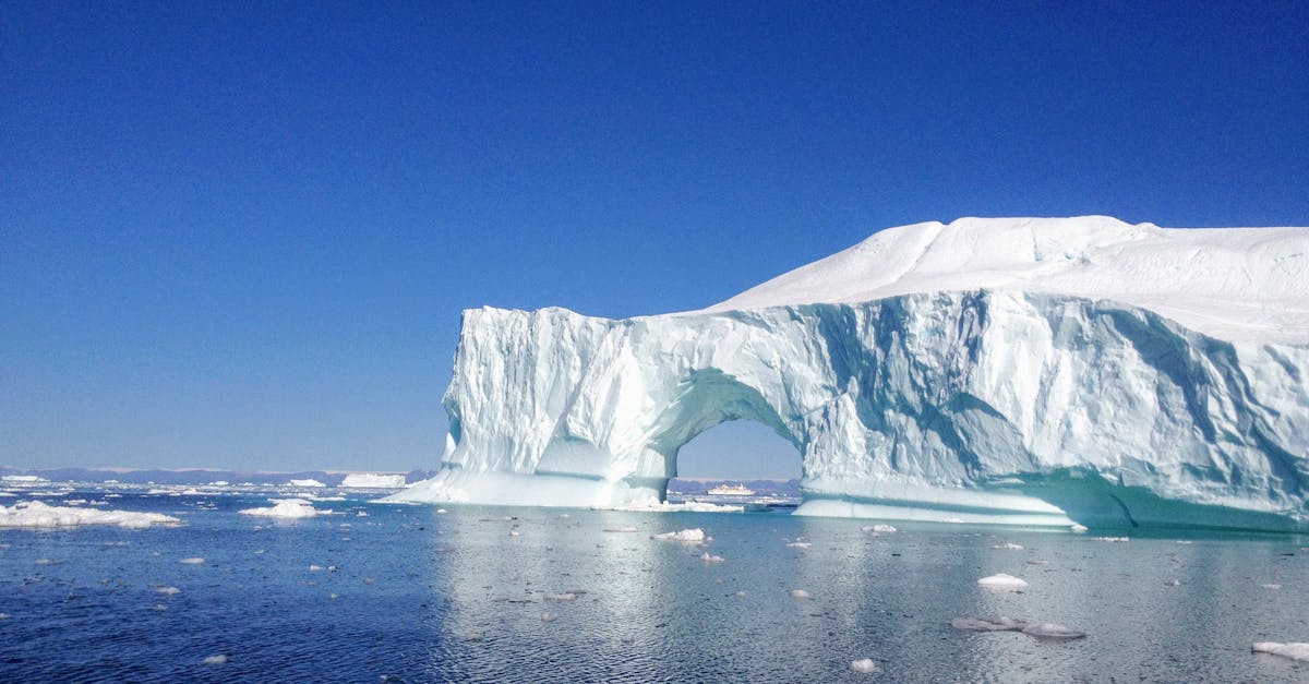 d&eacute;couvrez l'aventure ultime avec notre exp&eacute;dition au groenland : paysages &agrave; couper le souffle, faune unique et exp&eacute;rience inoubliable en pleine nature arctique.